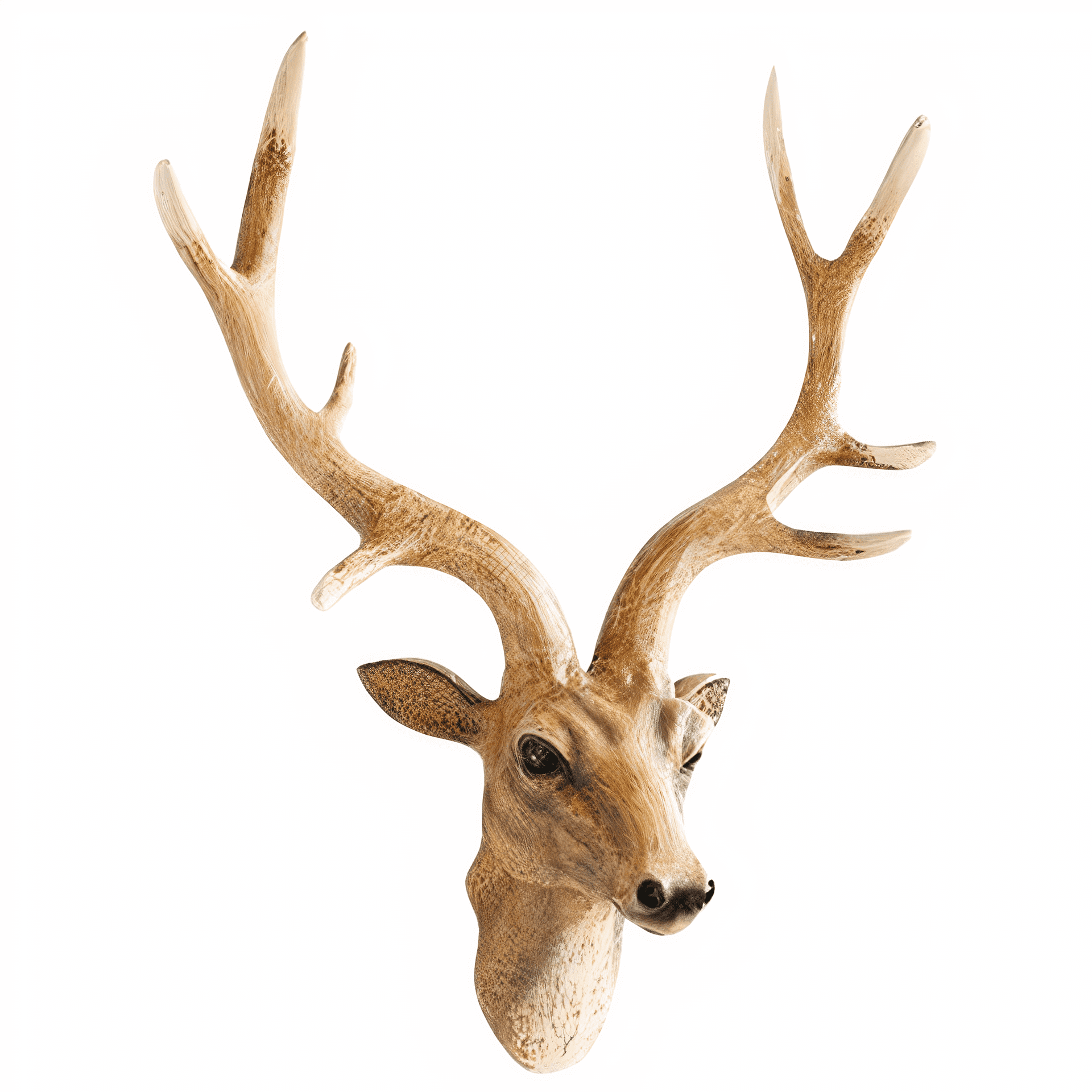 Tête de Cerf Déco Murale