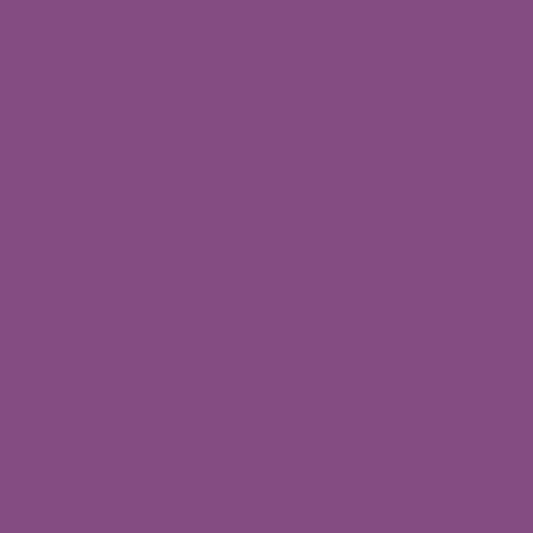 Bombe de peinture violet RAL 4008