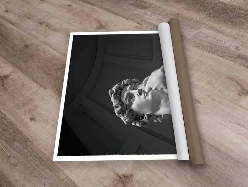 Poster David Michel Ange