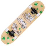 Skateboard Chat