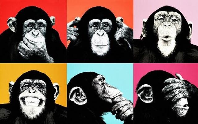 Affiche Singe Pop Art