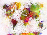 Poster Carte du Monde Multicolore